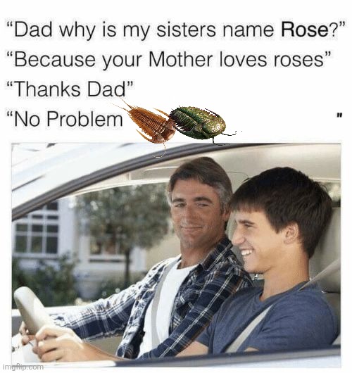 Trilobites | image tagged in why is my sister's name rose,memes,dinosaurs,funny,animal meme,lol | made w/ Imgflip meme maker