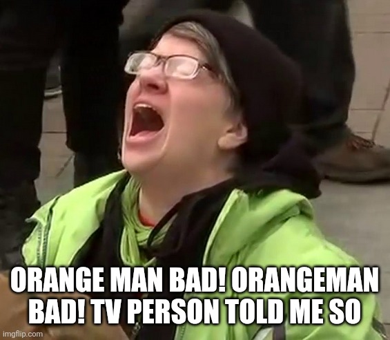 Crying liberal | ORANGE MAN BAD! ORANGEMAN BAD! TV PERSON TOLD ME SO | image tagged in crying liberal | made w/ Imgflip meme maker