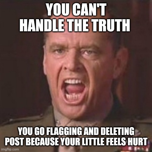 You can't handle the truth | YOU CAN'T HANDLE THE TRUTH YOU GO FLAGGING AND DELETING POST BECAUSE YOUR LITTLE FEELS HURT | image tagged in you can't handle the truth | made w/ Imgflip meme maker