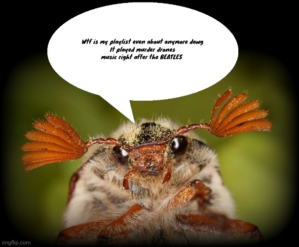 Doodlebug/odd announcement temp | Wtf is my playlist even about anymore dawg

It played murder drones music right after the BEATLES | image tagged in doodlebug/odd announcement temp | made w/ Imgflip meme maker