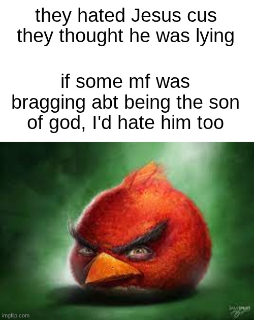 Realistic Red Angry Birds | they hated Jesus cus they thought he was lying; if some mf was bragging abt being the son of god, I'd hate him too | image tagged in realistic red angry birds | made w/ Imgflip meme maker