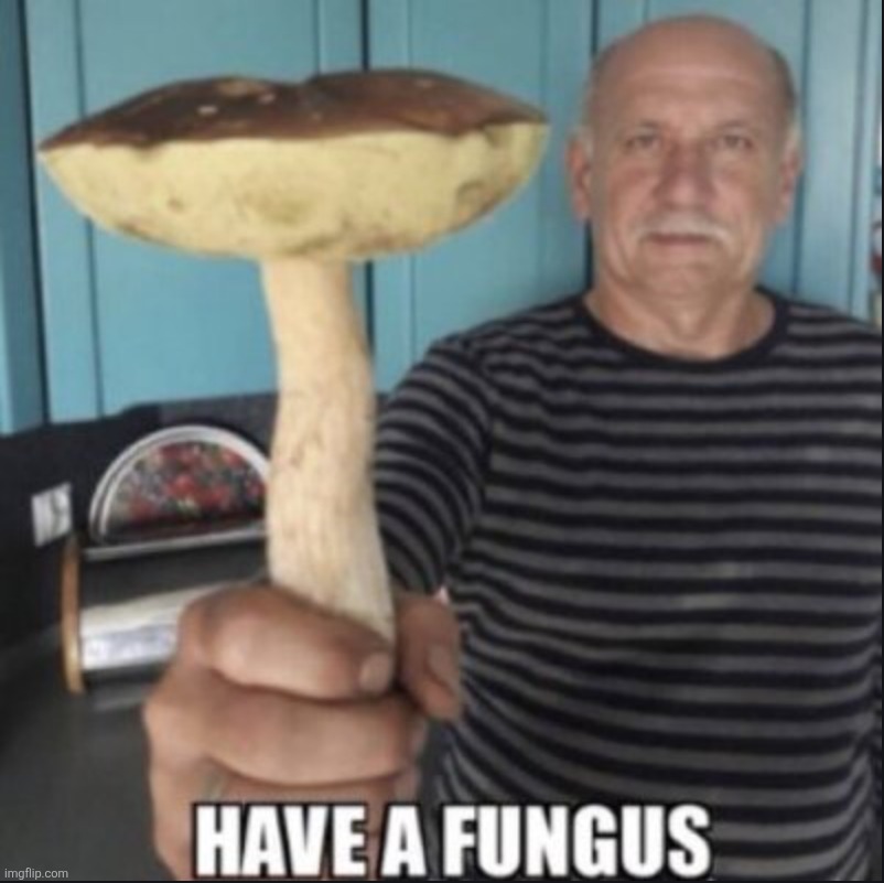 have a fungus | image tagged in have a fungus | made w/ Imgflip meme maker