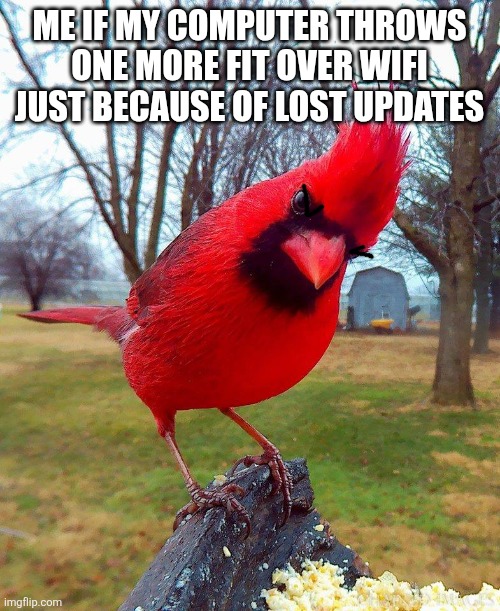 Not gonna be any nicer than a mad drill sergeant if this continues | ME IF MY COMPUTER THROWS ONE MORE FIT OVER WIFI JUST BECAUSE OF LOST UPDATES | image tagged in angry bird,memes,shits gonna hit the fan so high it'll make your head spin,savage memes,computers/electronics | made w/ Imgflip meme maker