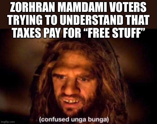 NYC taxes | ZORHRAN MAMDAMI VOTERS TRYING TO UNDERSTAND THAT TAXES PAY FOR “FREE STUFF” | image tagged in confused unga bunga,taxes,income taxes,new york city,politics,political meme | made w/ Imgflip meme maker