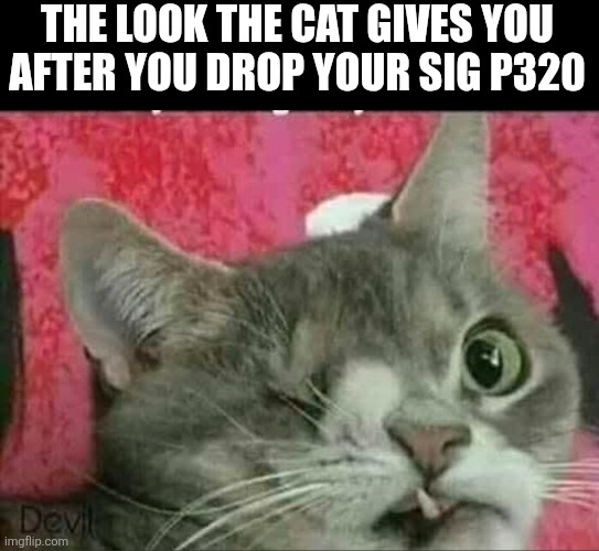THE LOOK THE CAT GIVES YOU
AFTER YOU DROP YOUR SIG P320 | image tagged in right meow,stupid autocorrect | made w/ Imgflip meme maker