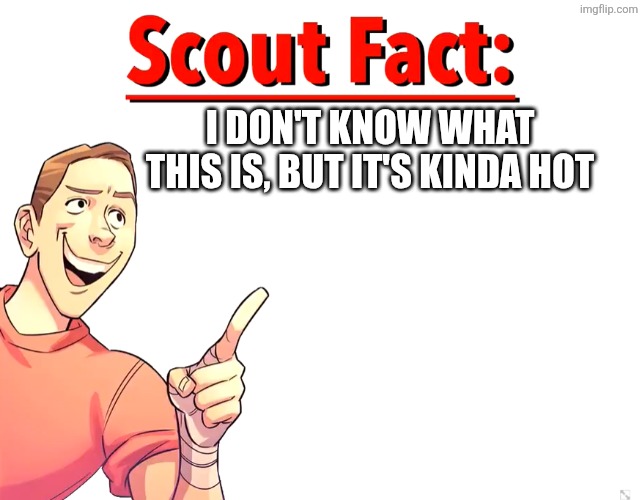 Scout Fact | I DON'T KNOW WHAT THIS IS, BUT IT'S KINDA HOT | image tagged in scout fact | made w/ Imgflip meme maker