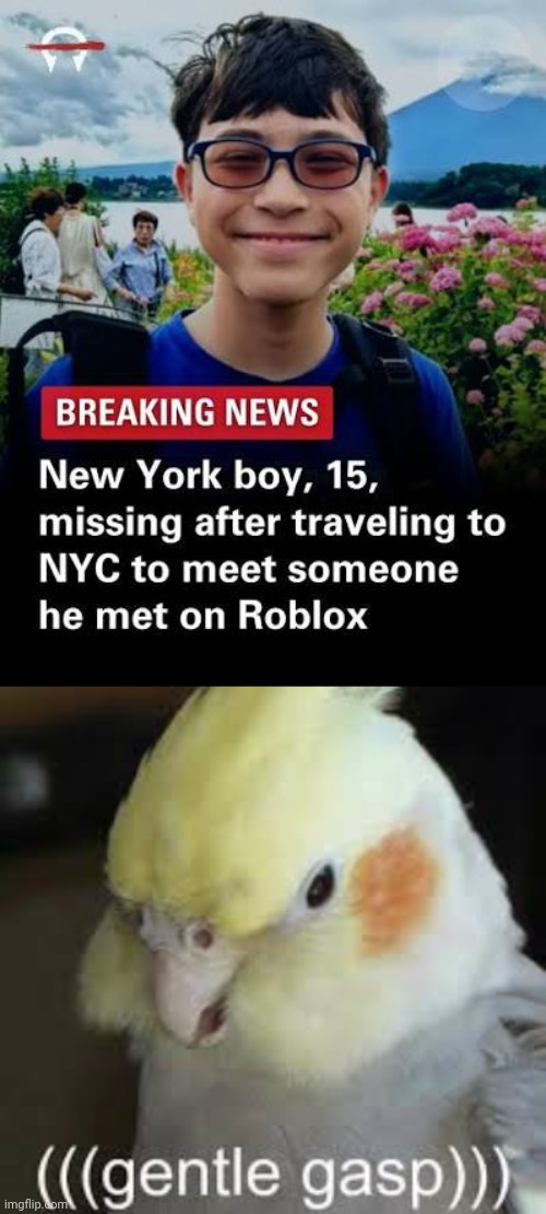 A missing teen | image tagged in gasp,roblox,memes | made w/ Imgflip meme maker