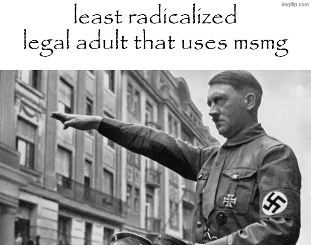 least radicalized legal adult that uses msmg | made w/ Imgflip meme maker