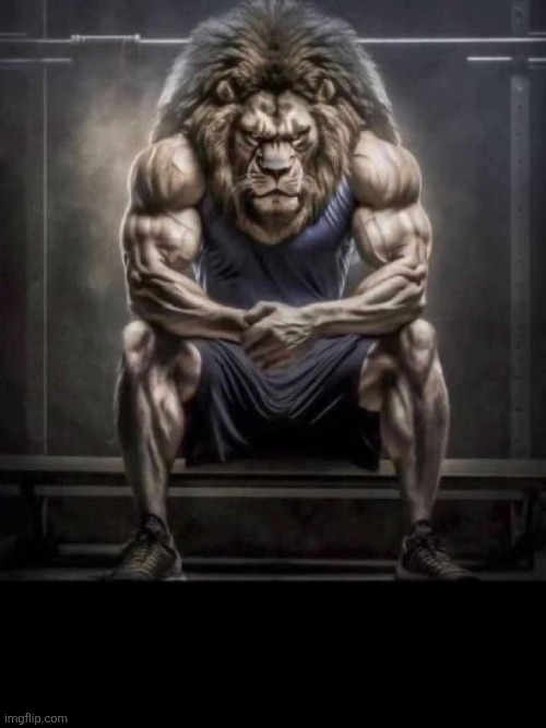 image tagged in buff lion sitting | made w/ Imgflip meme maker