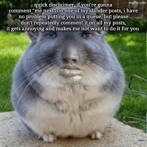 quick rant and then back to the slanders | quick disclaimer, if you're gonna comment "me next" on one of my slander posts, i have no problem putting you in a queue, but please don't repeatedly comment it on all my posts, it gets annoying and makes me not want to do it for you | image tagged in grey chinchilla meme | made w/ Imgflip meme maker