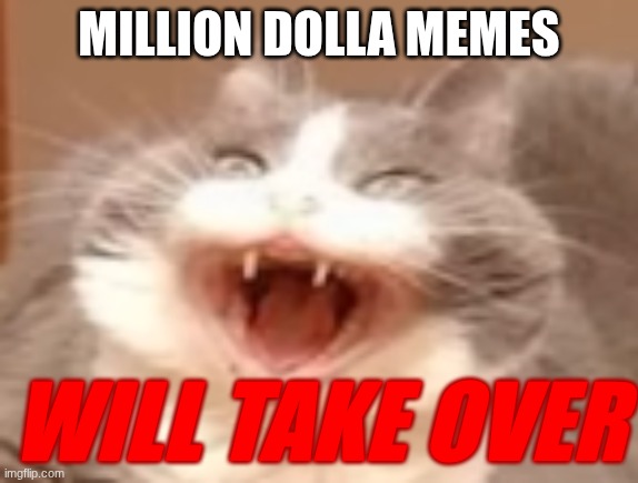 look at what you've started, andrew | MILLION DOLLA MEMES; WILL TAKE OVER | image tagged in cat | made w/ Imgflip meme maker