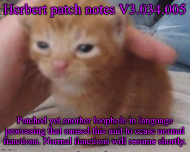 Herbert | Herbert patch notes V3.034.005; Patched yet another loophole in language processing that caused this unit to cease normal functions. Normal functions will resume shortly. | image tagged in herbert | made w/ Imgflip meme maker