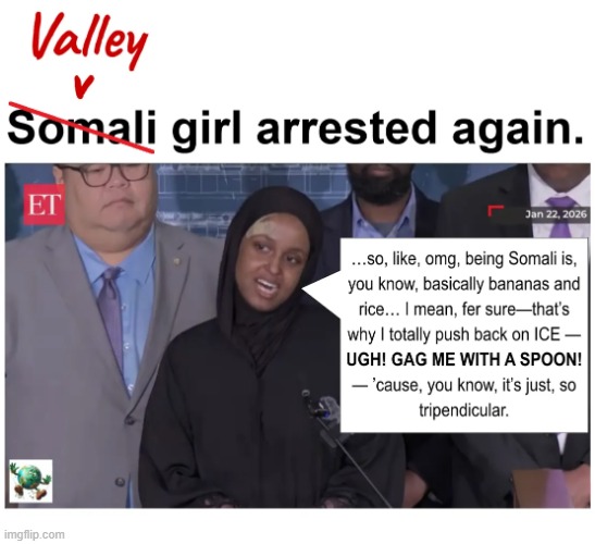 Why is everyone suddenly focused on Nasra Ahmed and her reaction to ICE? | image tagged in maga,conservative,minnesota | made w/ Imgflip meme maker