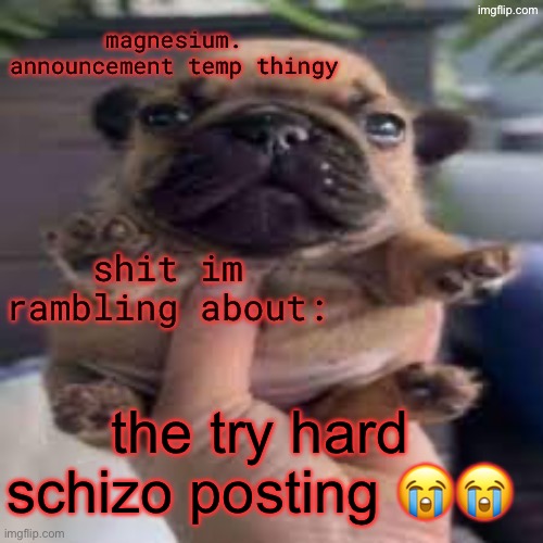 pug temp | the try hard schizo posting 😭😭 | image tagged in pug temp | made w/ Imgflip meme maker