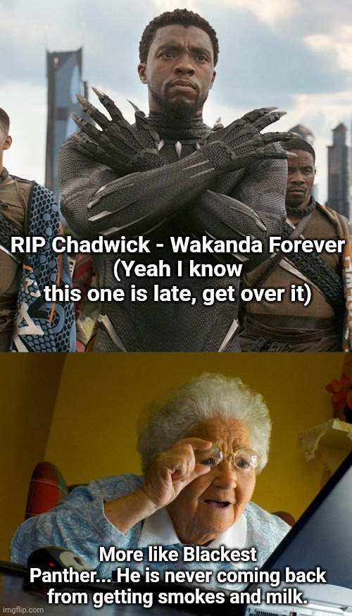 RIP Chadwick - Wakanda Forever
(Yeah I know this one is late, get over it); More like Blackest Panther... He is never coming back from getting smokes and milk. | image tagged in wakanda forever,memes,grandma finds the internet | made w/ Imgflip meme maker