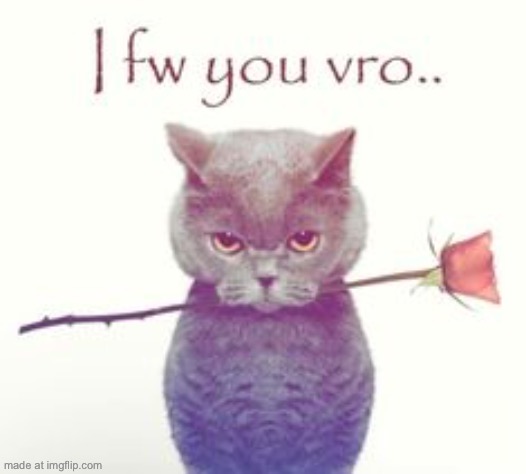 I fw you vro | image tagged in i fw you vro | made w/ Imgflip meme maker
