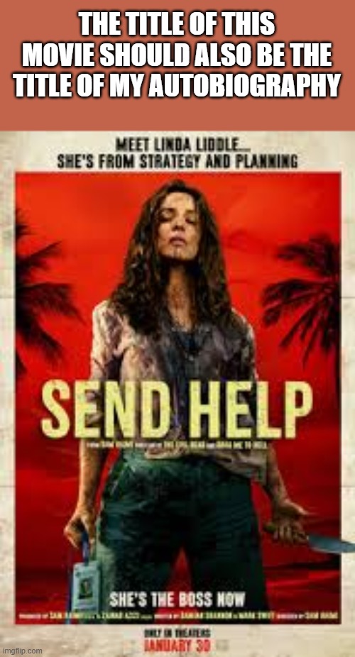 Send Help | THE TITLE OF THIS MOVIE SHOULD ALSO BE THE TITLE OF MY AUTOBIOGRAPHY | image tagged in send help,movie title,autobiography,rachel mcadams,funny,memes | made w/ Imgflip meme maker