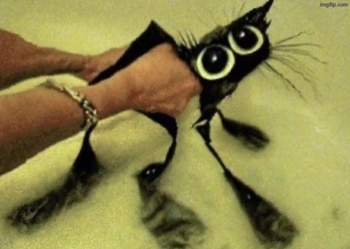 bently the person vs bently the idea | made w/ Imgflip meme maker