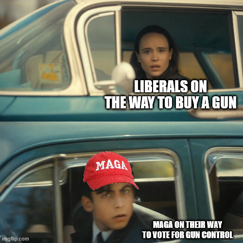 umbrella academy meme | LIBERALS ON THE WAY TO BUY A GUN; MAGA ON THEIR WAY TO VOTE FOR GUN CONTROL | image tagged in umbrella academy meme | made w/ Imgflip meme maker