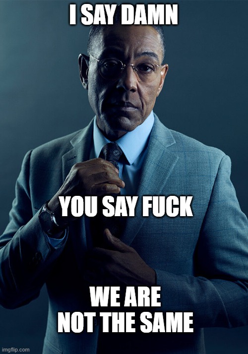 Relatable. | I SAY DAMN; YOU SAY FUCK; WE ARE NOT THE SAME | image tagged in gus fring we are not the same,memes | made w/ Imgflip meme maker