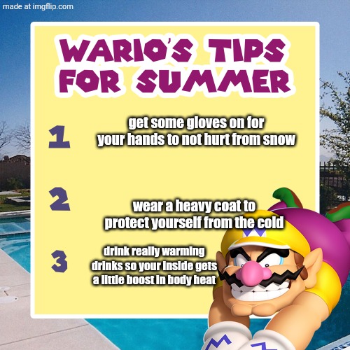 :D | get some gloves on for your hands to not hurt from snow; wear a heavy coat to protect yourself from the cold; drink really warming drinks so your inside gets a little boost in body heat | image tagged in warios tips for summer,never gonna give you up,never gonna let you down,never gonna run around,yayaya | made w/ Imgflip meme maker