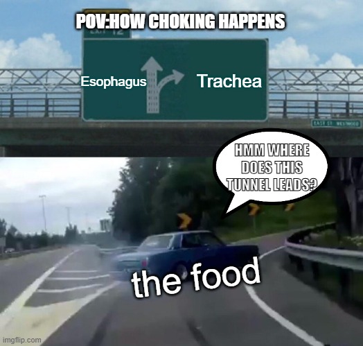 Left Exit 12 Off Ramp | POV:HOW CHOKING HAPPENS; Esophagus; Trachea; HMM WHERE DOES THIS TUNNEL LEADS? the food | image tagged in memes,left exit 12 off ramp | made w/ Imgflip meme maker