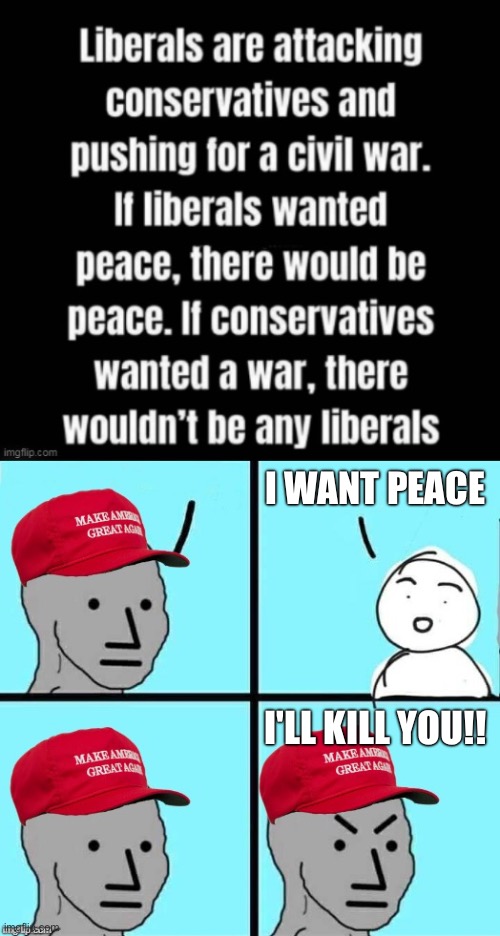 Who else finds it delusional that this person thinks conservatives could kill every single liberal? | I WANT PEACE; I'LL KILL YOU!! | image tagged in maga npc an an0nym0us template | made w/ Imgflip meme maker