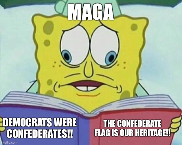 MAGA only has double standards | MAGA; THE CONFEDERATE FLAG IS OUR HERITAGE!! DEMOCRATS WERE CONFEDERATES!! | image tagged in cross eyed spongebob | made w/ Imgflip meme maker