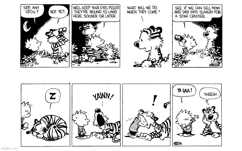 image tagged in calvin and hobbes,comics | made w/ Imgflip meme maker