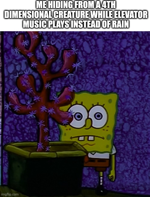 How does one copyright the sound of rain | ME HIDING FROM A 4TH DIMENSIONAL CREATURE WHILE ELEVATOR MUSIC PLAYS INSTEAD OF RAIN | image tagged in blank white template,roblox,forsaken | made w/ Imgflip meme maker