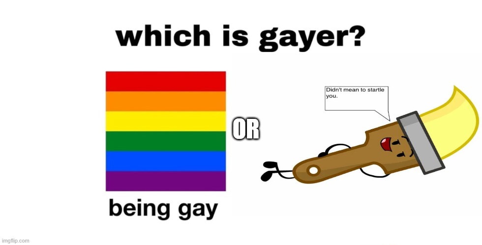 Which Is Gayer? | OR | image tagged in which is gayer | made w/ Imgflip meme maker