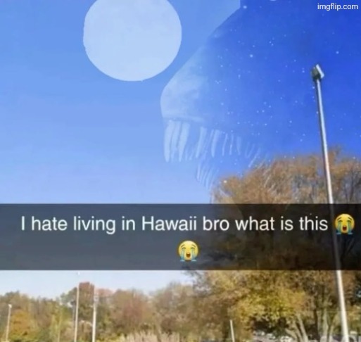 Tf | image tagged in oh wow are you actually reading these tags,why are you reading the tags,fuck you,stop reading the tags | made w/ Imgflip meme maker