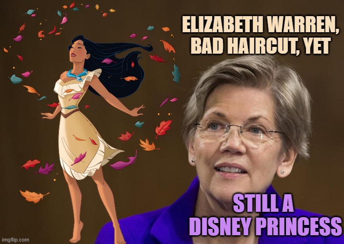 ELIZABETH WARREN,
BAD HAIRCUT, YET STILL A 
DISNEY PRINCESS | image tagged in elizabeth warren | made w/ Imgflip meme maker
