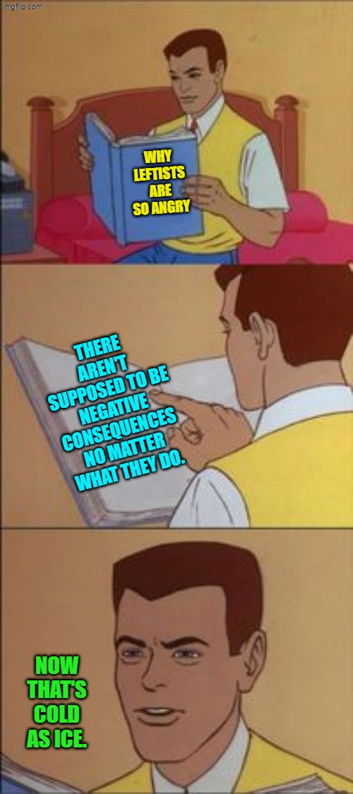 Prove I'm wrong. | WHY LEFTISTS ARE SO ANGRY; THERE AREN'T SUPPOSED TO BE NEGATIVE CONSEQUENCES NO MATTER WHAT THEY DO. NOW THAT'S COLD AS ICE. | image tagged in peter parker reading a book | made w/ Imgflip meme maker