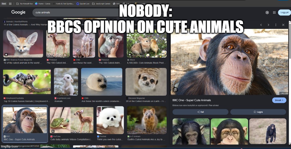 Cute animals | NOBODY:
BBCS OPINION ON CUTE ANIMALS | image tagged in cute,bbc | made w/ Imgflip meme maker