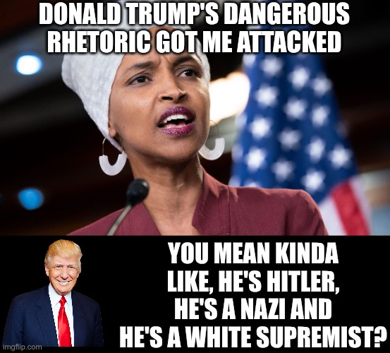 Dangerous rhetoric | DONALD TRUMP'S DANGEROUS RHETORIC GOT ME ATTACKED; YOU MEAN KINDA LIKE, HE'S HITLER, HE'S A NAZI AND HE'S A WHITE SUPREMIST? | image tagged in ilhan omar | made w/ Imgflip meme maker