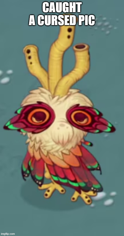 Cred To Mpg | CAUGHT A CURSED PIC | image tagged in owlesque,mpg,msm poke gamer | made w/ Imgflip meme maker