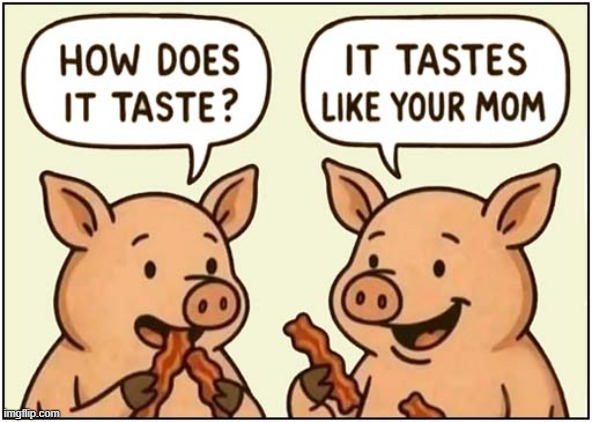 So Mean ! | image tagged in pigs,bacon,yo mama | made w/ Imgflip meme maker