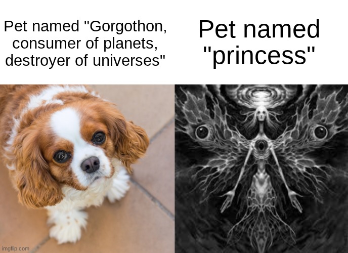 Pet named "Gorgothon, consumer of planets, destroyer of universes"; Pet named "princess" | made w/ Imgflip meme maker