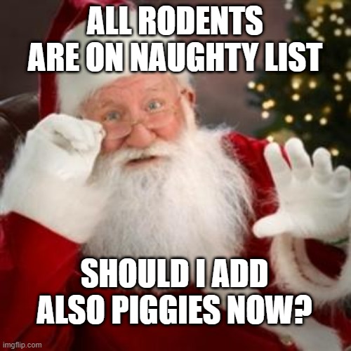 santa hold on | ALL RODENTS ARE ON NAUGHTY LIST; SHOULD I ADD ALSO PIGGIES NOW? | image tagged in santa hold on | made w/ Imgflip meme maker