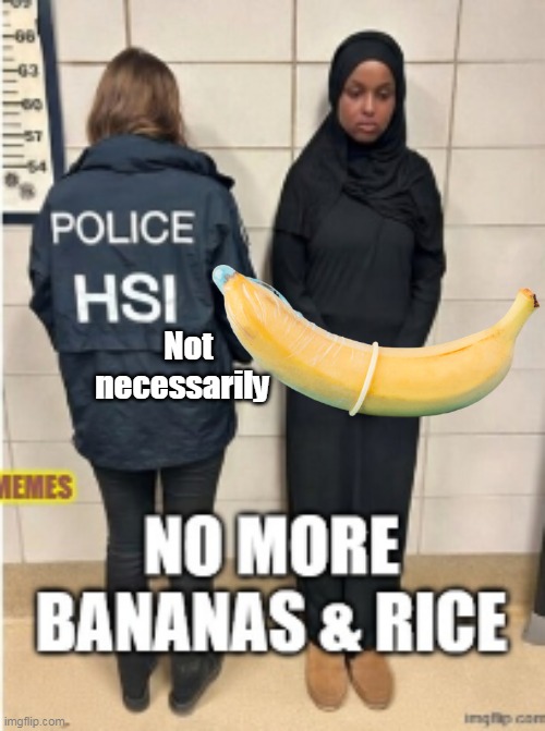 Not necessarily | made w/ Imgflip meme maker