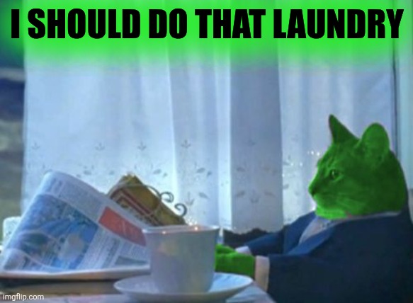 I Should Buy a Boat RayCat | I SHOULD DO THAT LAUNDRY | image tagged in i should buy a boat raycat | made w/ Imgflip meme maker