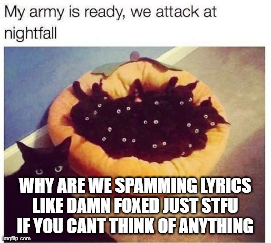 GrimNemo's army | WHY ARE WE SPAMMING LYRICS LIKE DAMN FOXED JUST STFU IF YOU CANT THINK OF ANYTHING | image tagged in grimnemo's army | made w/ Imgflip meme maker