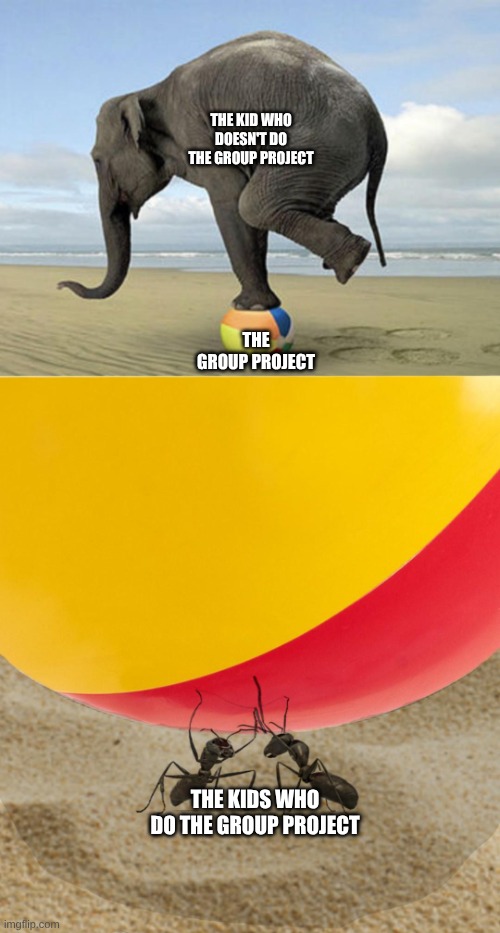 Elephant held up by ants | THE KID WHO DOESN'T DO THE GROUP PROJECT; THE GROUP PROJECT; THE KIDS WHO DO THE GROUP PROJECT | image tagged in elephant held up by ants | made w/ Imgflip meme maker