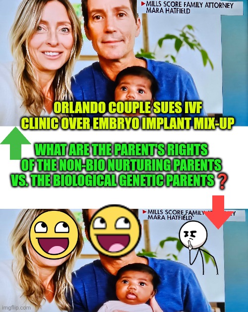 Orlando couple sues IVF clinic over embryo implant mix-up | ORLANDO COUPLE SUES IVF CLINIC OVER EMBRYO IMPLANT MIX-UP; WHAT ARE THE PARENT'S RIGHTS OF THE NON-BIO NURTURING PARENTS VS. THE BIOLOGICAL GENETIC PARENTS❓️ | image tagged in family,ivf,fertility clinic,lawsuit,mistake,ethics | made w/ Imgflip meme maker