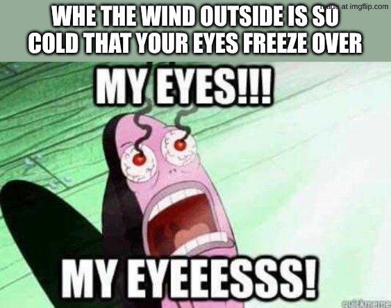 my eyes | WHE THE WIND OUTSIDE IS SO COLD THAT YOUR EYES FREEZE OVER | image tagged in spongebob,fun,funny,reference,relatable | made w/ Imgflip meme maker