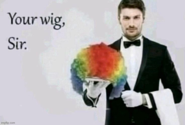 Your wig, Sir. | image tagged in your wig sir | made w/ Imgflip meme maker