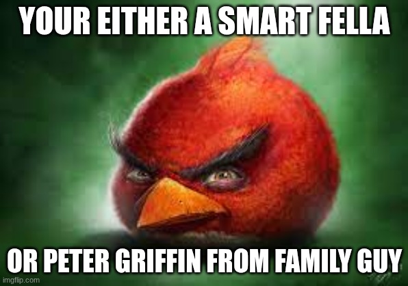 Realistic Red Angry Birds | YOUR EITHER A SMART FELLA; OR PETER GRIFFIN FROM FAMILY GUY | image tagged in realistic red angry birds | made w/ Imgflip meme maker