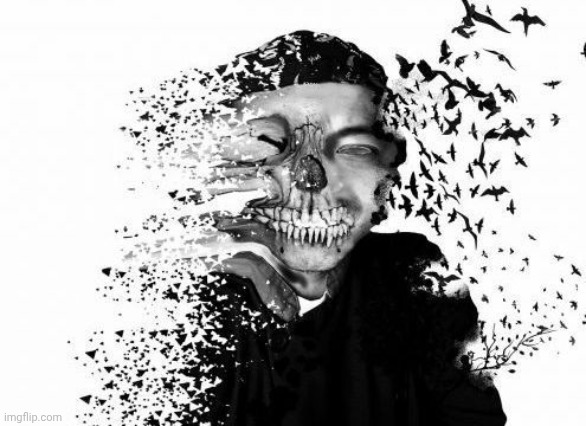 Fade away skull | image tagged in fade away skull | made w/ Imgflip meme maker