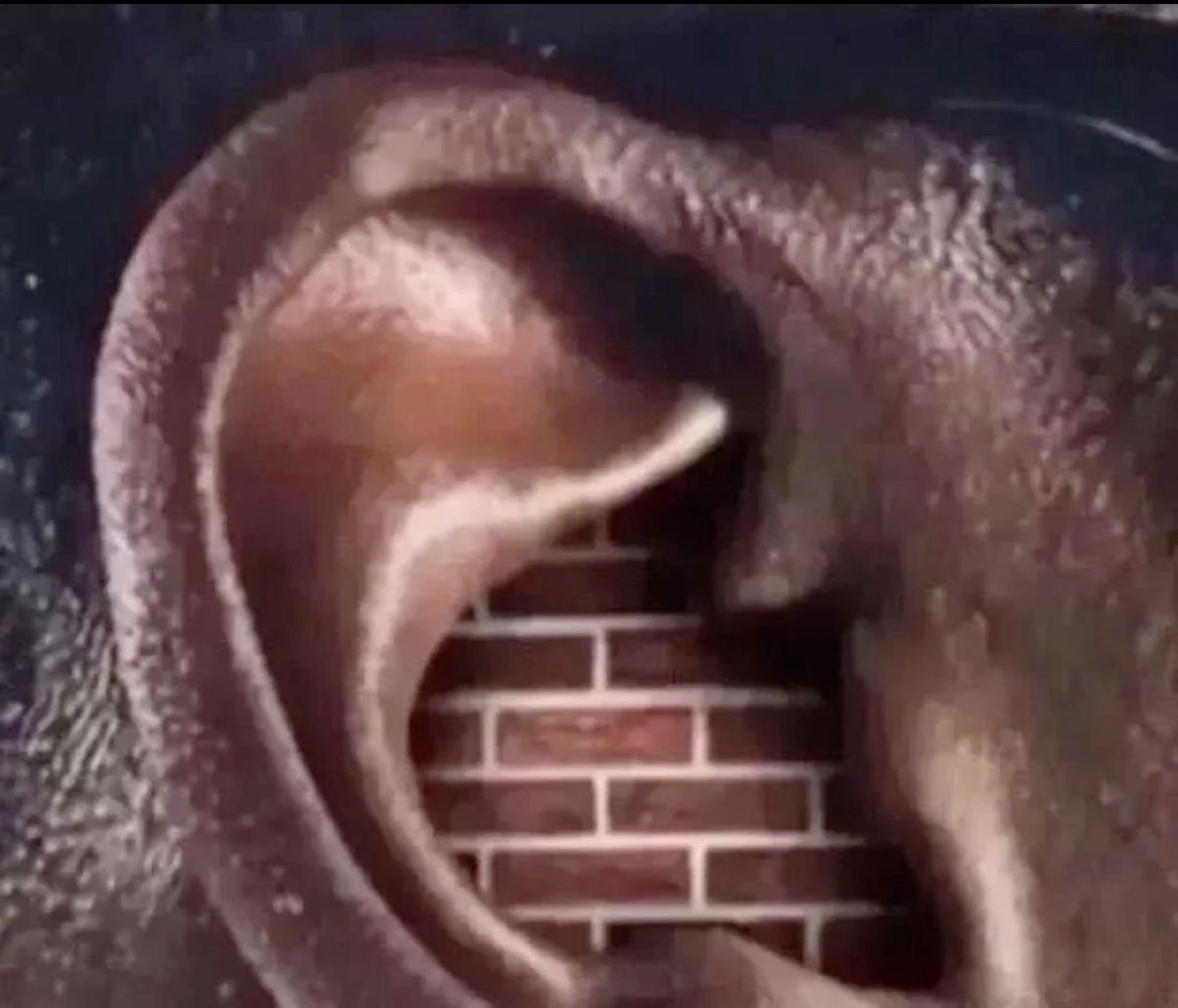 Not hearing you out Blank Meme Template